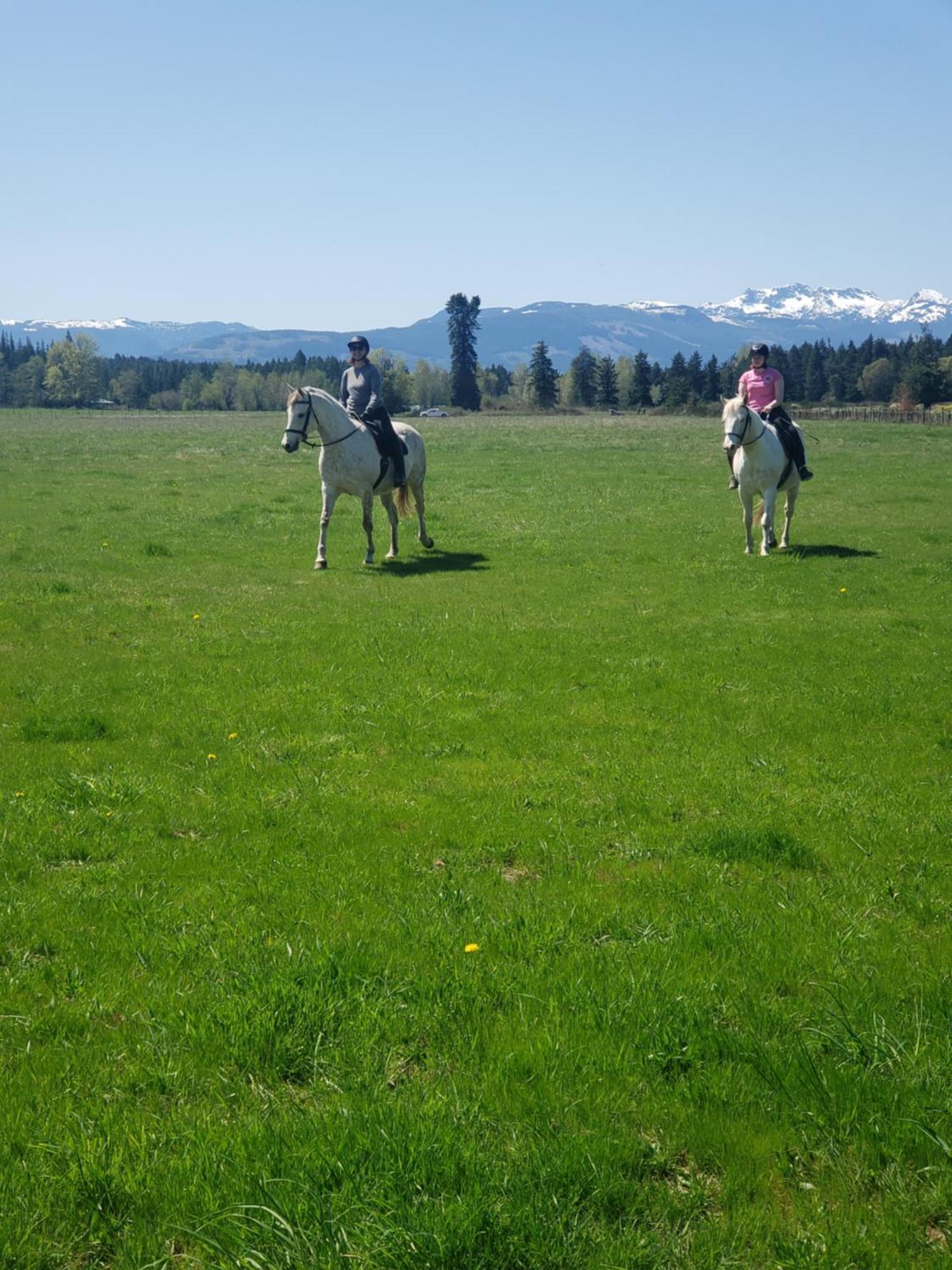 Paradise Acres Ranch Nanoose Bay Екстериор снимка