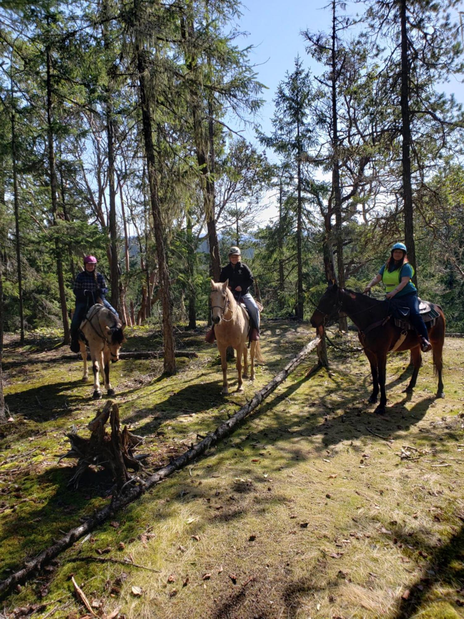 Paradise Acres Ranch Nanoose Bay Екстериор снимка