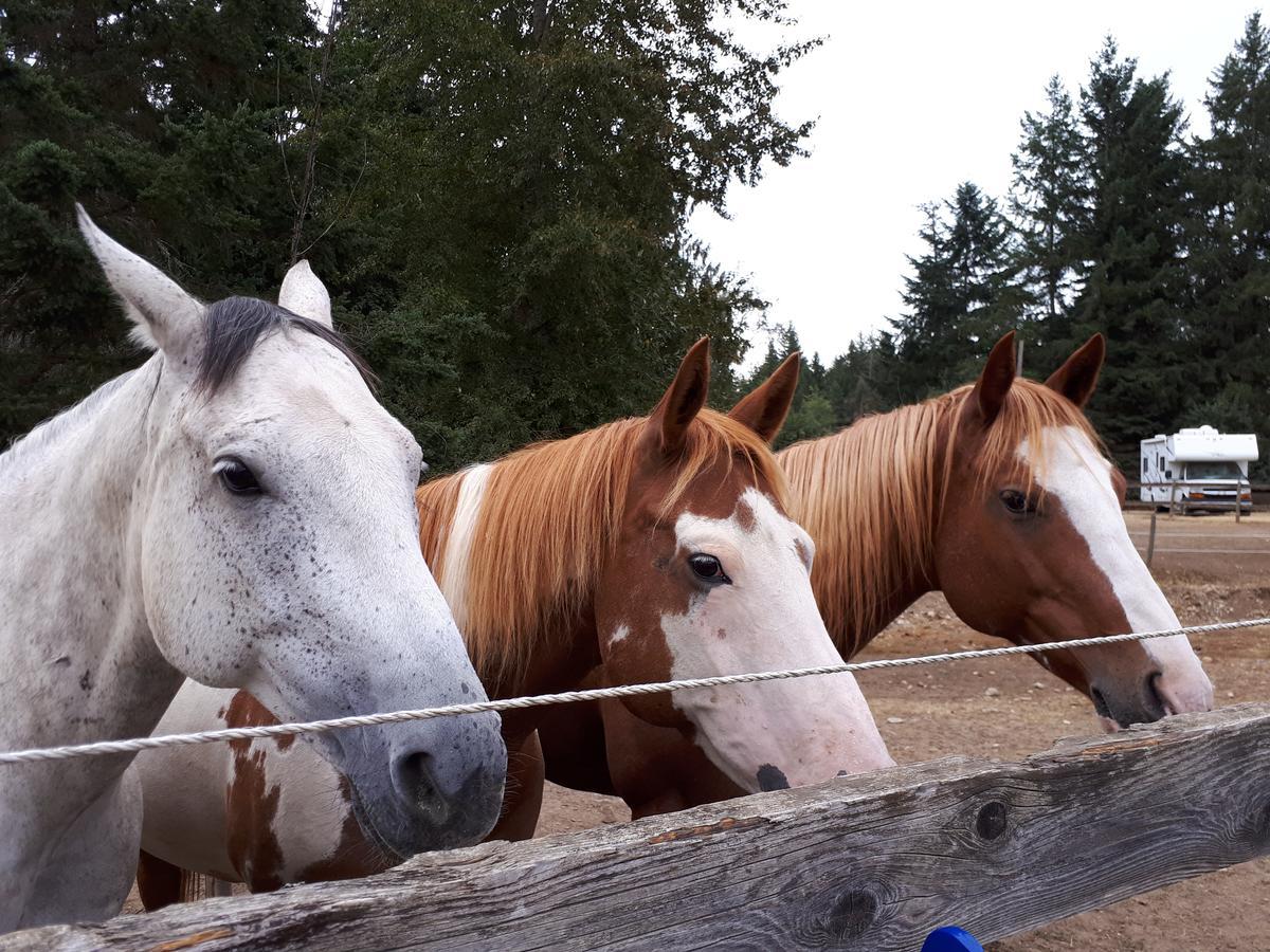 Paradise Acres Ranch Nanoose Bay Екстериор снимка