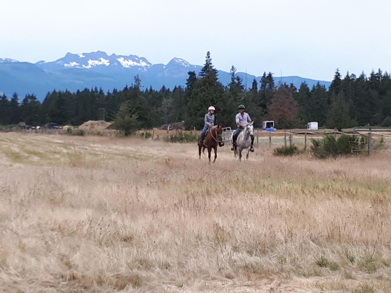 Paradise Acres Ranch Nanoose Bay Екстериор снимка
