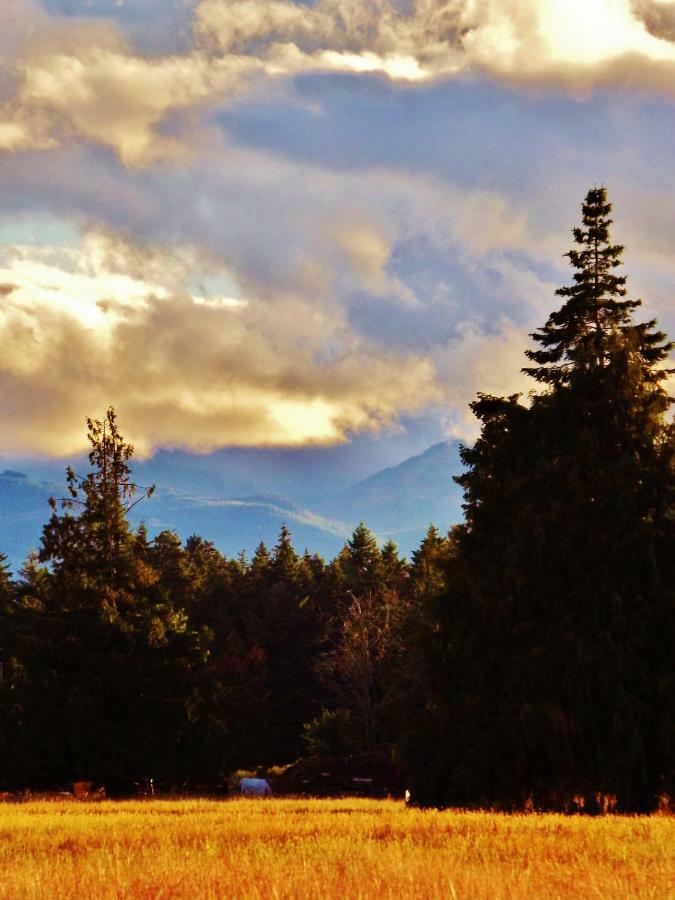 Paradise Acres Ranch Nanoose Bay Екстериор снимка